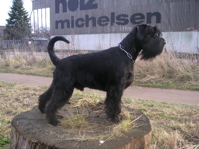 Bild 364.jpg